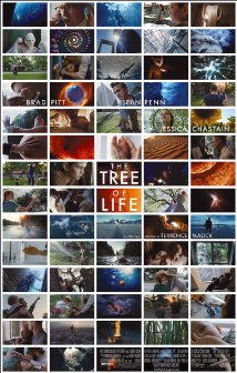 the tree of life.jpg